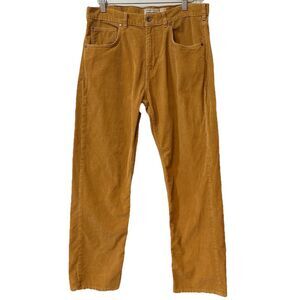 Patagonia Iron Clad Mens 34x30 Corduroy Pants 100% Organic Cotton